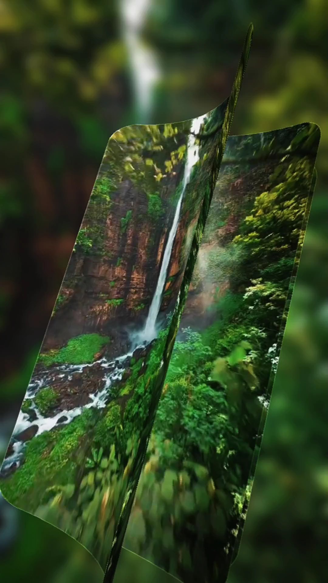 12 vidéo ou photo