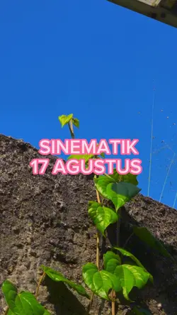Sinematik 17 Agustus