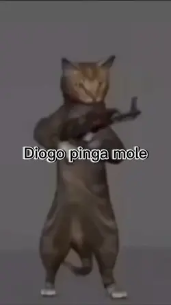 zoeira