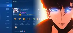 Hok pf solo leveling
