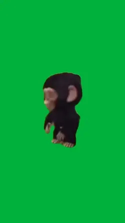 Chimp singing 