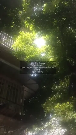 영상 나눔