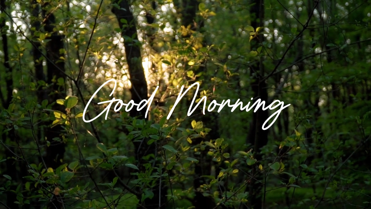 Good Morning HD