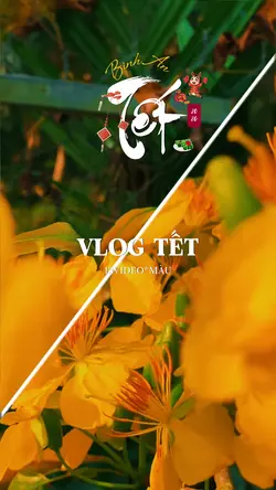 Tết Bình An Vlog.|