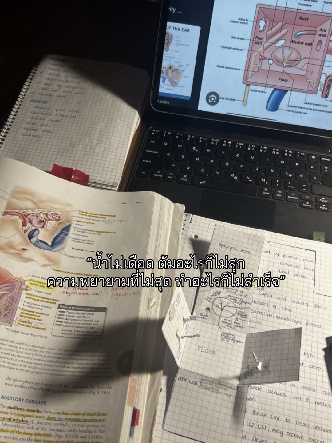 เธรดการเรียน