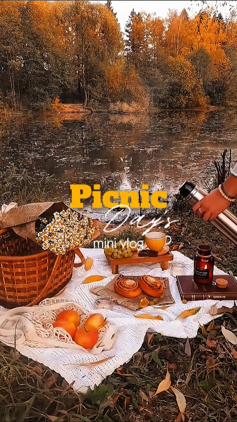 Piknik günleri