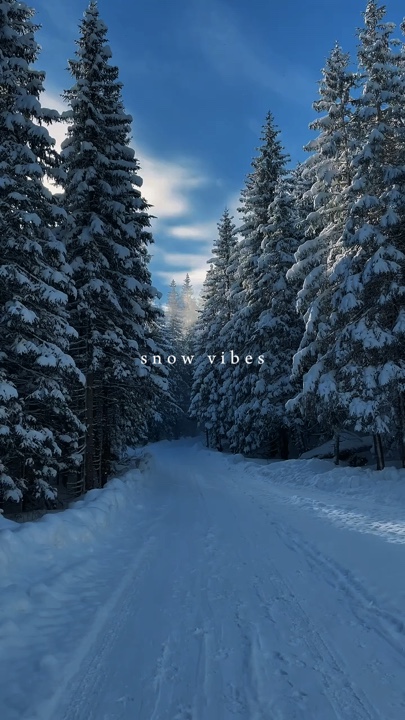 Schnee-Vibes