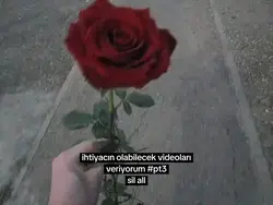 kaydet kullanırsınn 