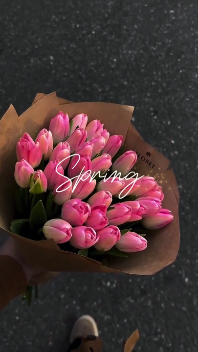 Frühling✨ 