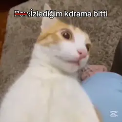 OLAMAZZZZZZZ