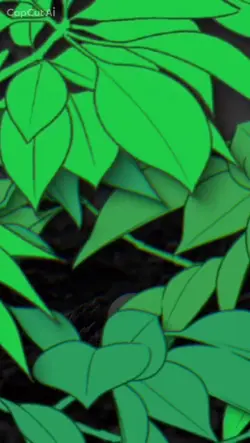 Nature’s beauty