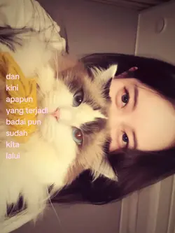 trend bila