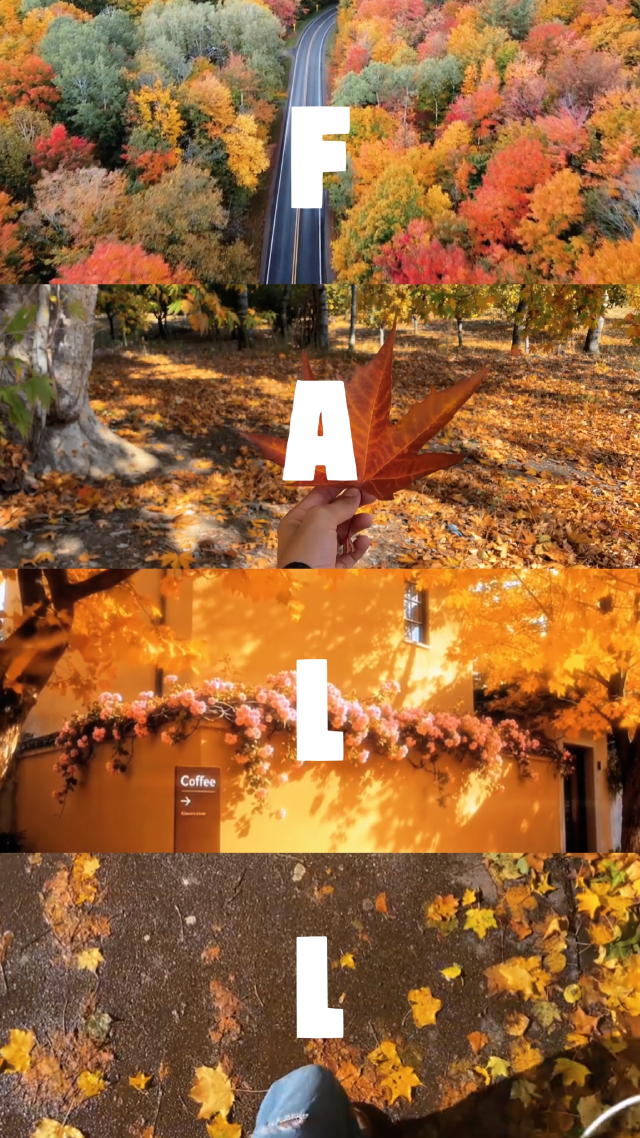 Autumn 2026