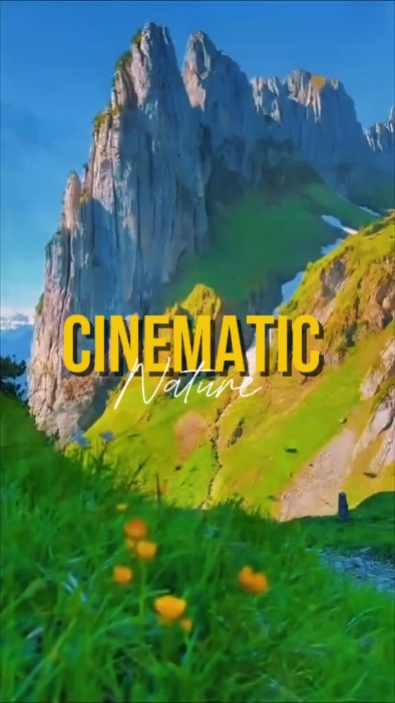 Cinématique 