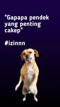 Hewan joget trend