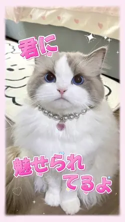 初恋リバイバル|動画or写真1枚で作成🉑