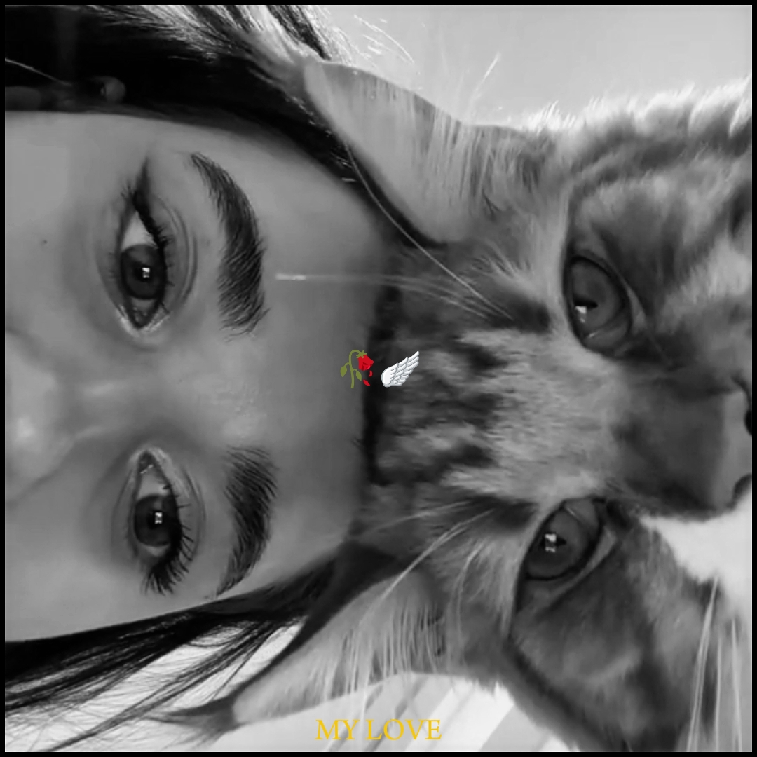 MOMENT