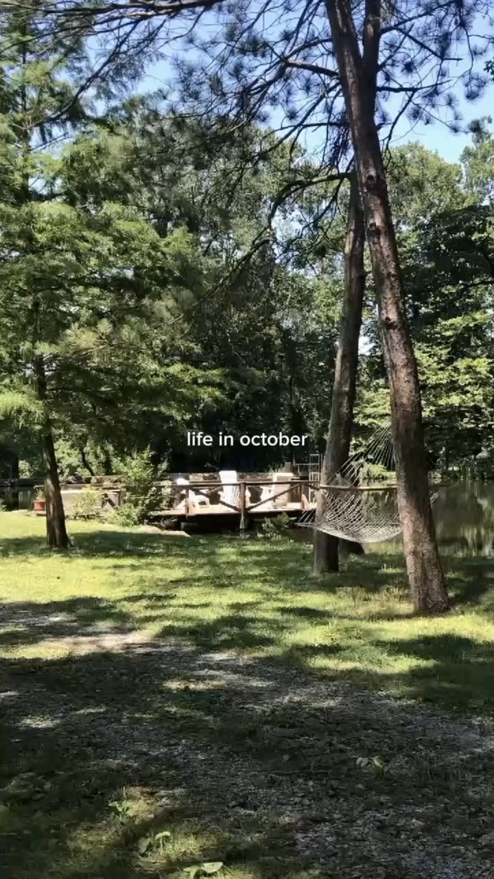 Vida em outubro