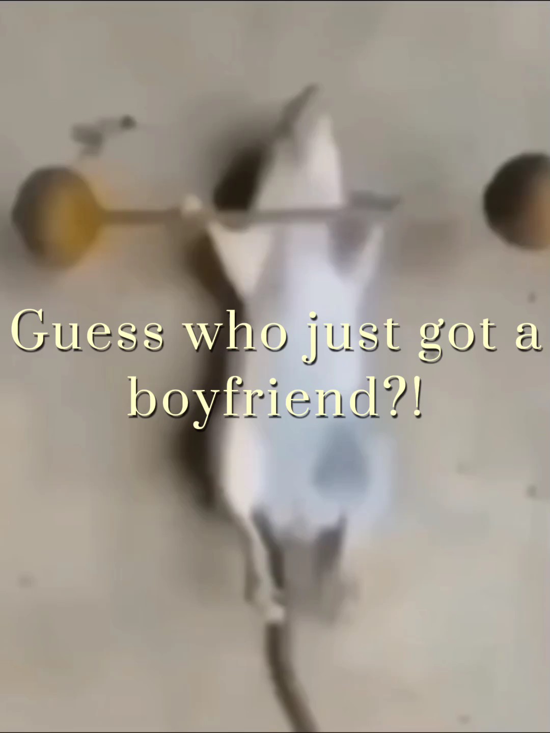 Guess who just got a