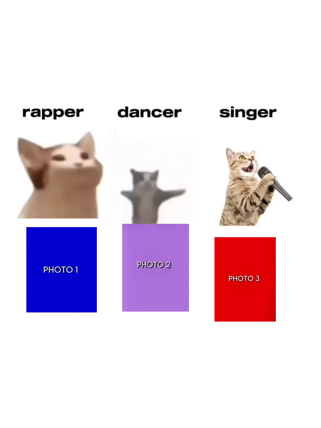 Nosotros Cupcat mastar