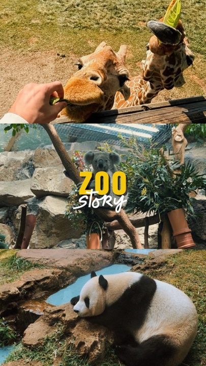 Zoo-Geschichte