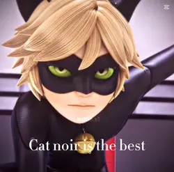 Cat noirr