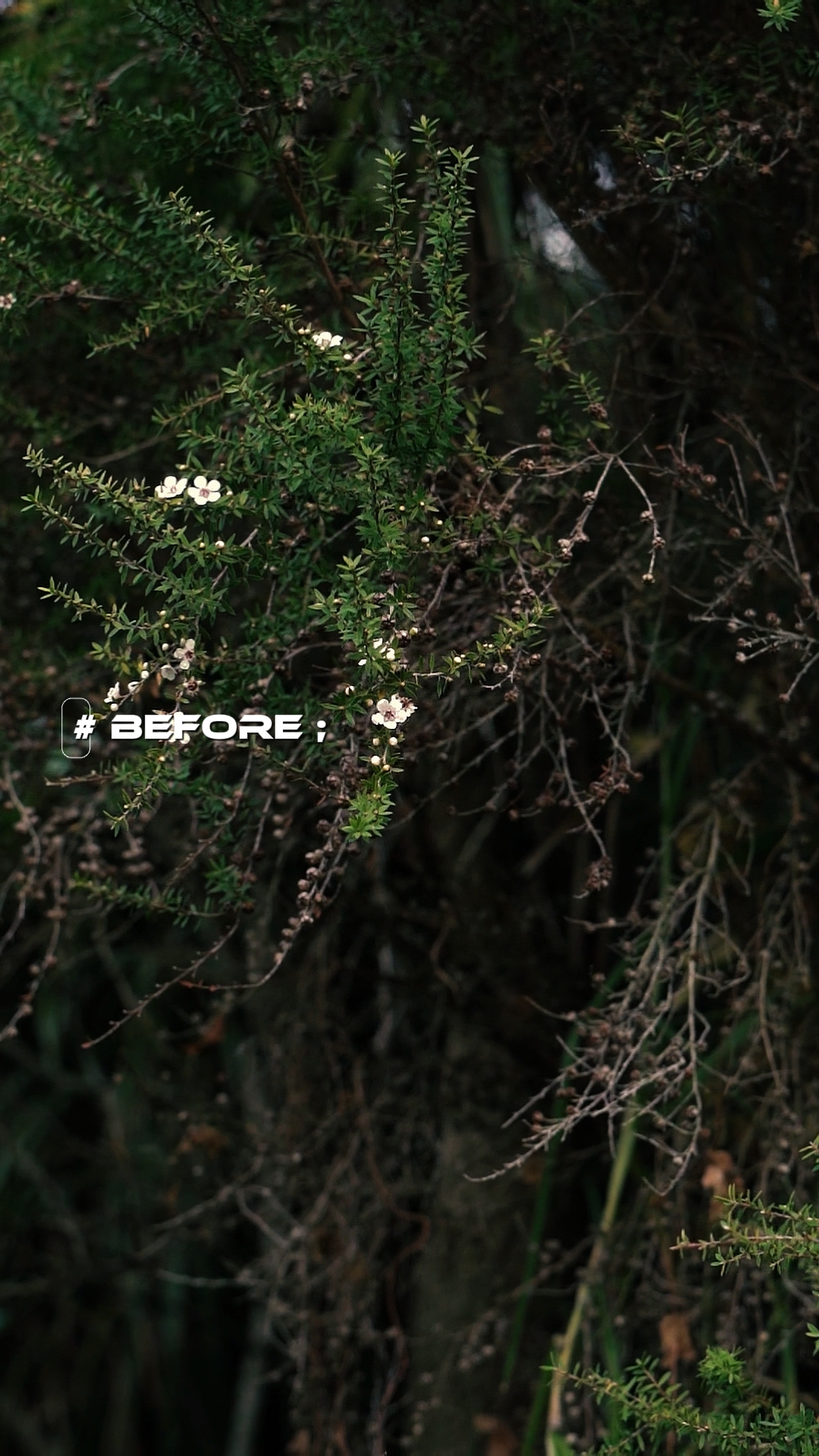 Before Vs After