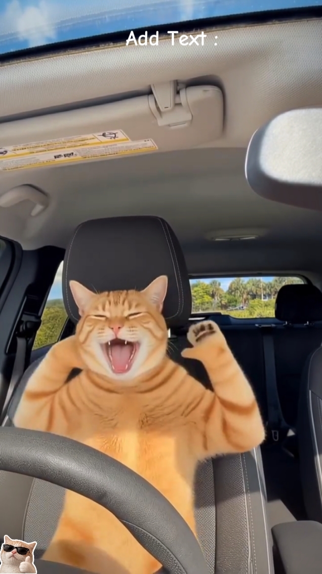 Singing in the car 