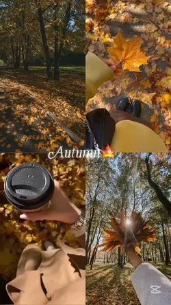 Autumn🍂