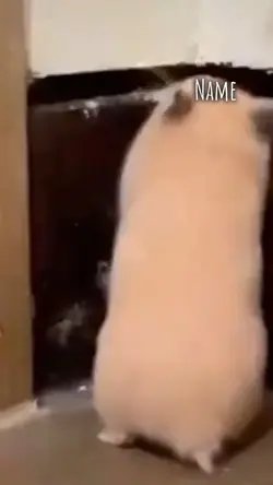 짧은데 귀여운 템플릿