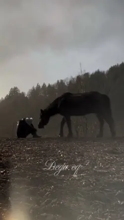Slowmo Horse