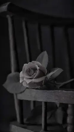 تقدیم به مادران 💗🫀