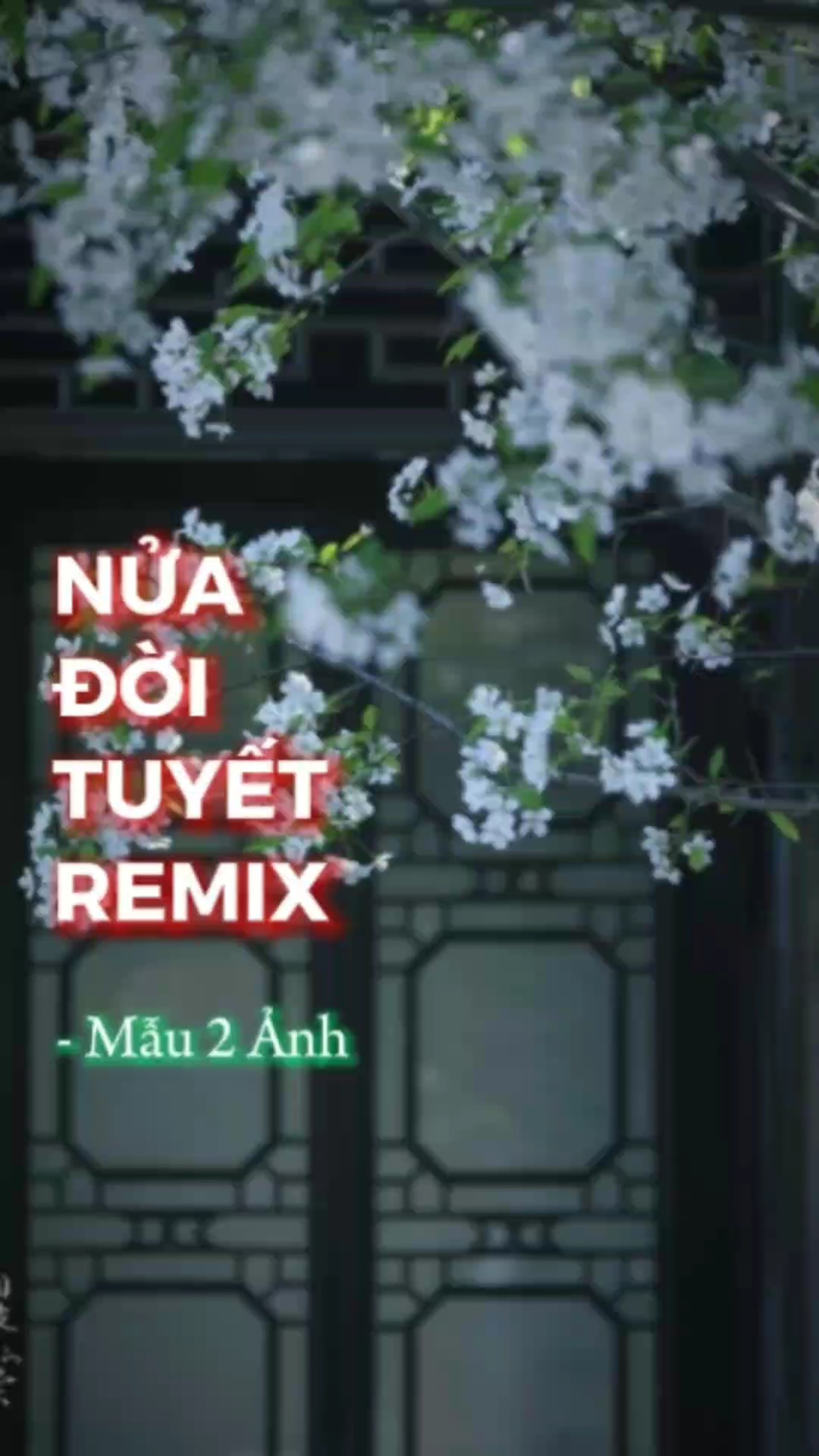 NỬA ĐỜI TUYẾT REMIX 
