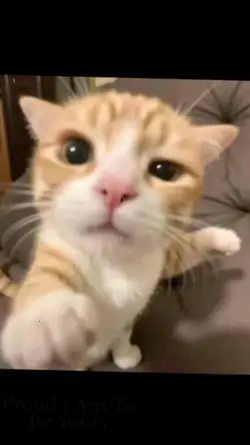 good for you 🫩🫩