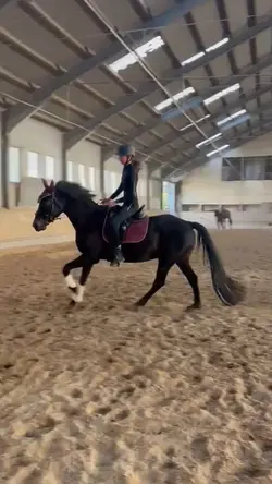 CANTER SLOWMO FT LU!