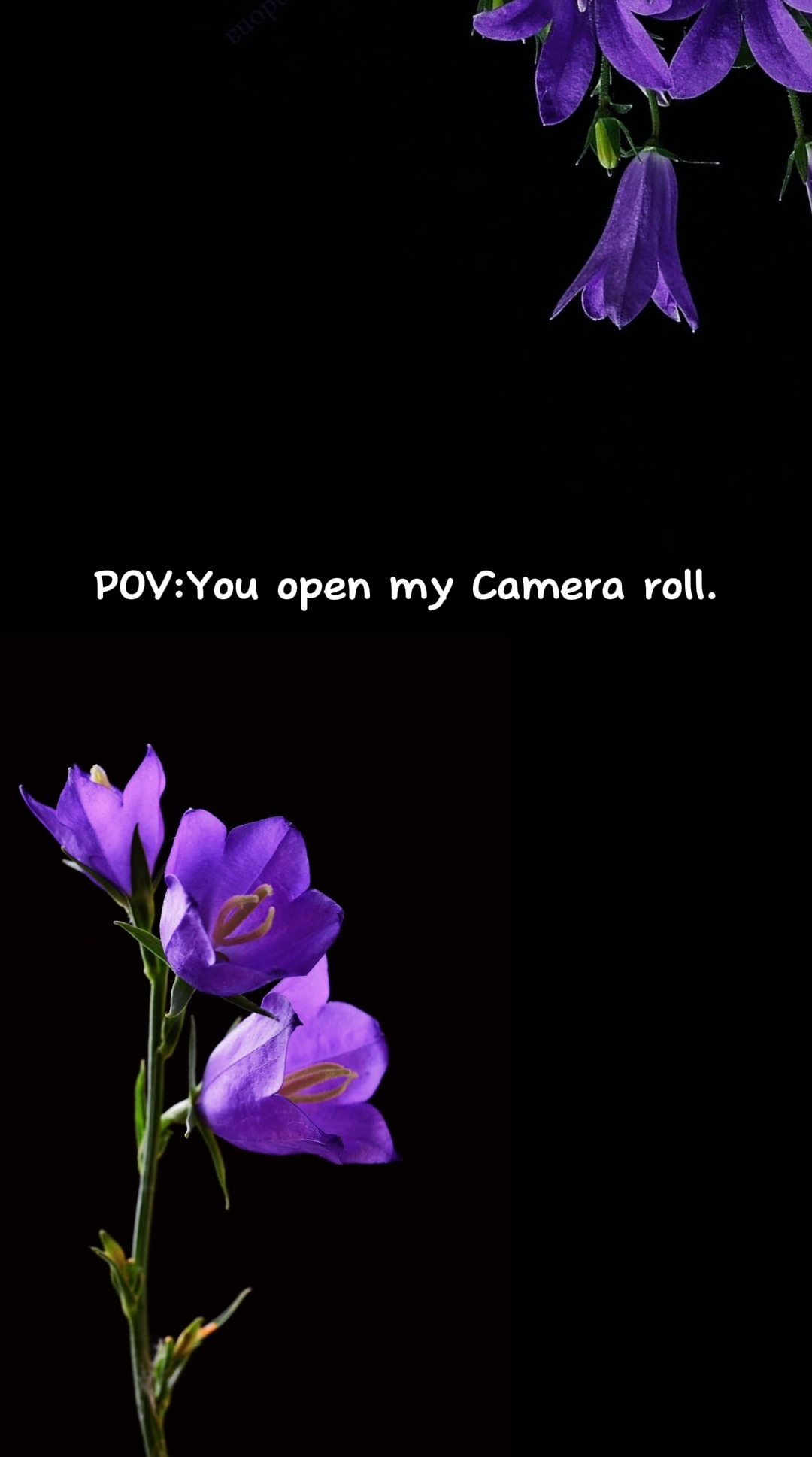 Rolo Da Câmera 