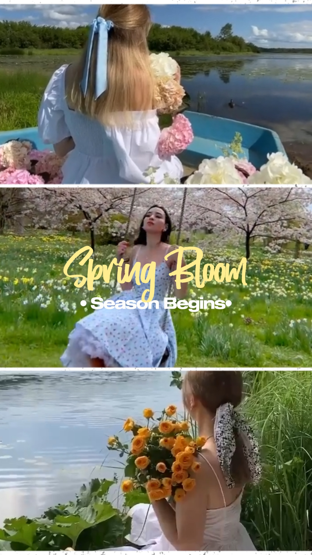 Spring bloom