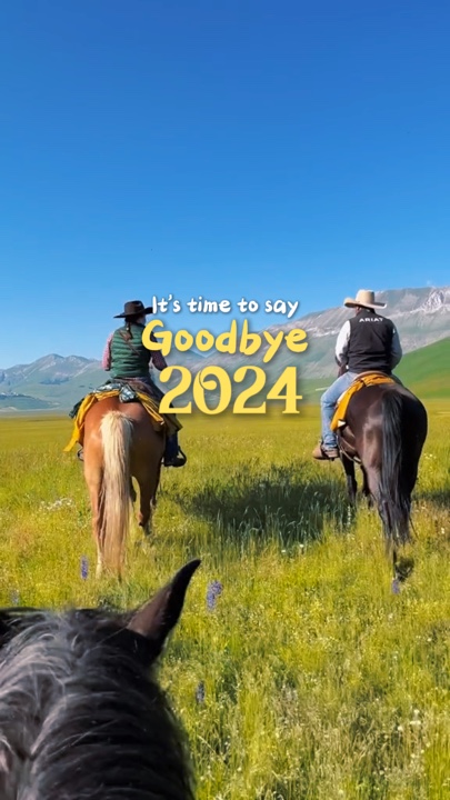 Goodbye 2024