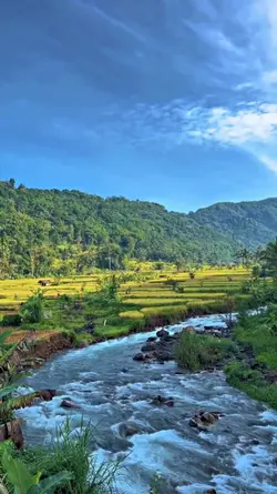 mesat ngapung luhur