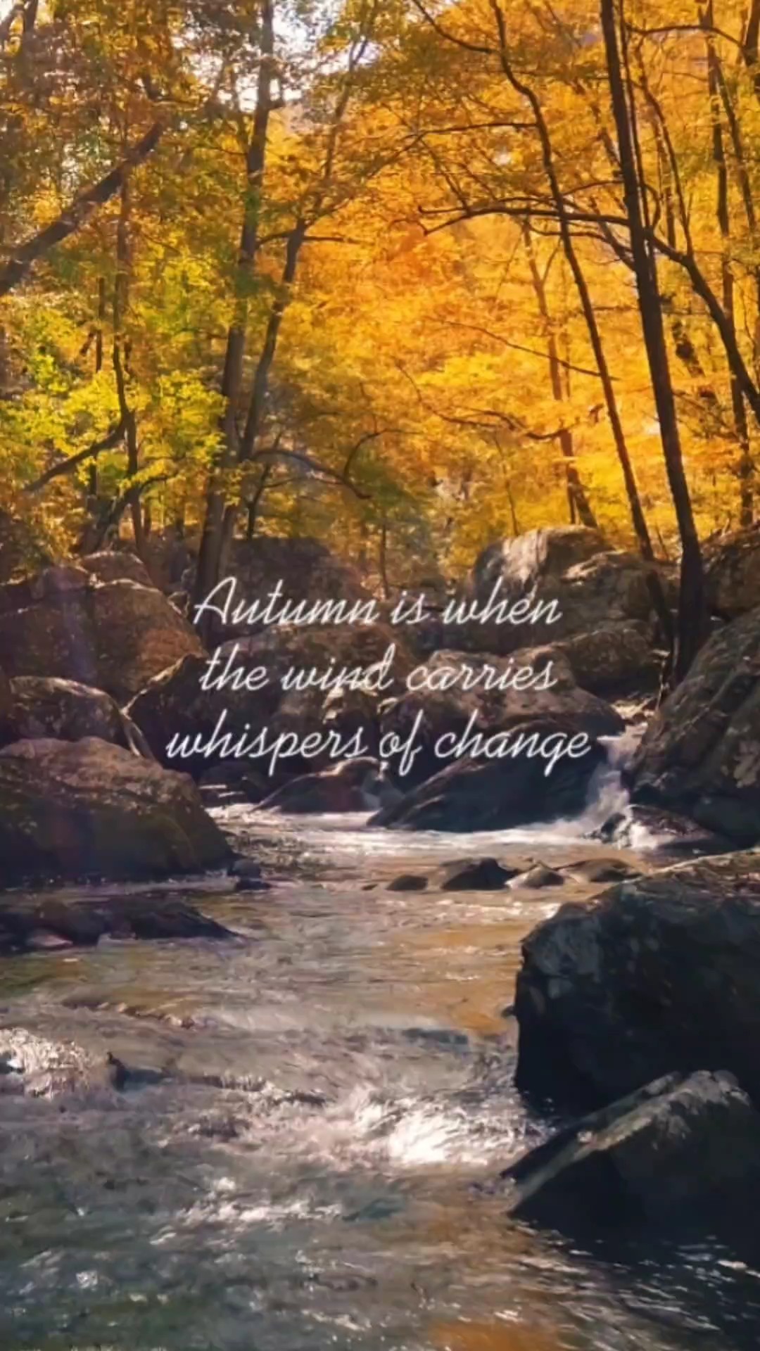 Susurros de Otoño