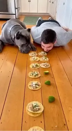 Dog vs. man challeng