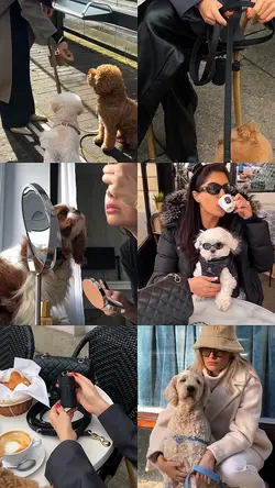 Moment with dog