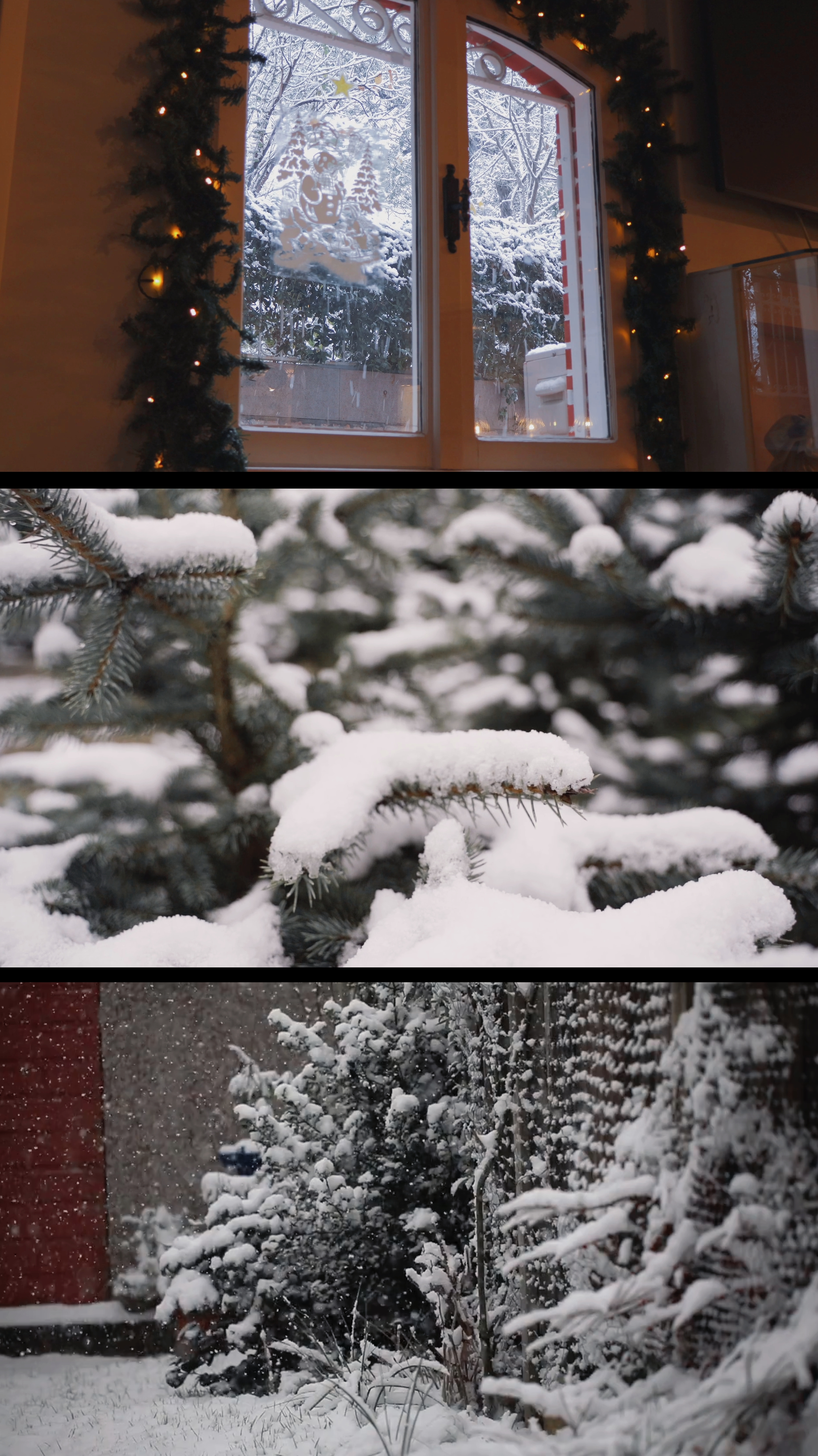 Invierno 2026 | 3