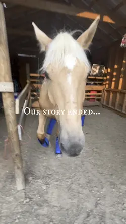 Into a new chapter🥲