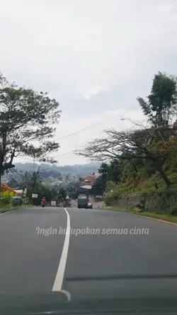 Ingin kulupakan 