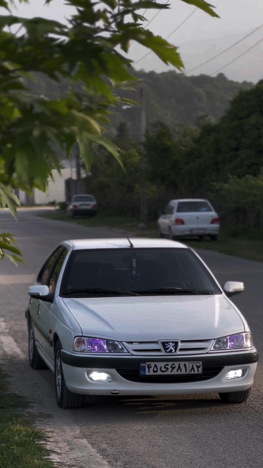 Cover Picture