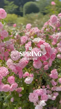 Spring