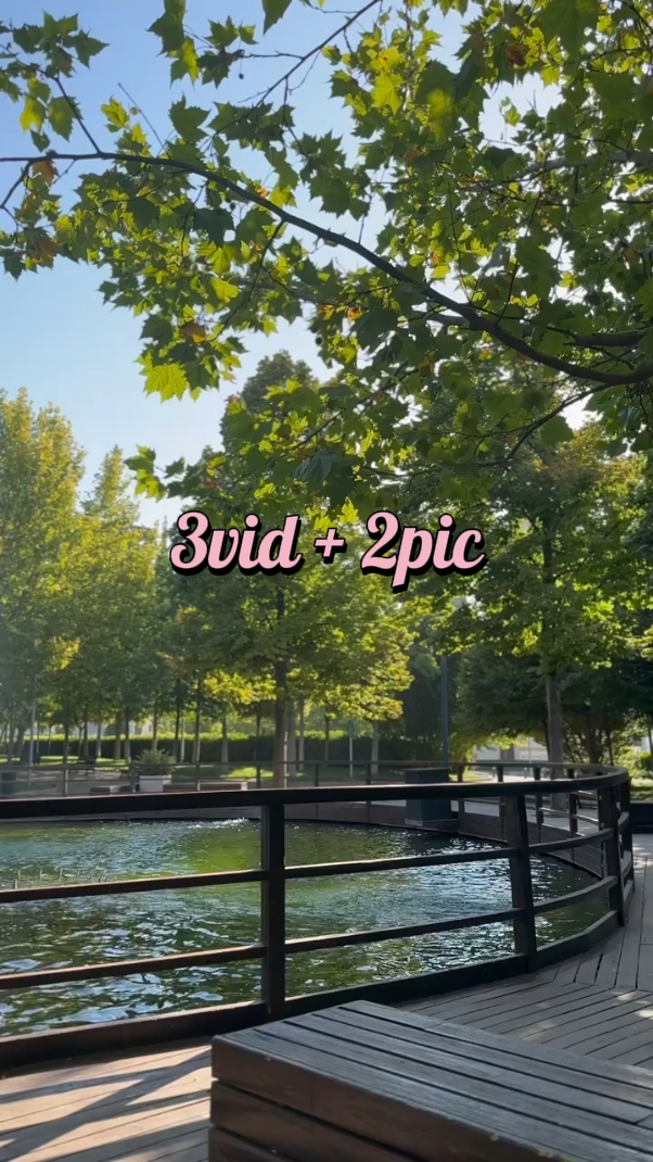 3Vid + 2pic