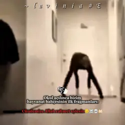 Hayvanatbahçesi|Okul