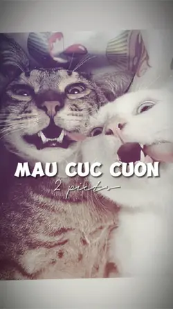 2 ẢNH GIẬT NHẸ